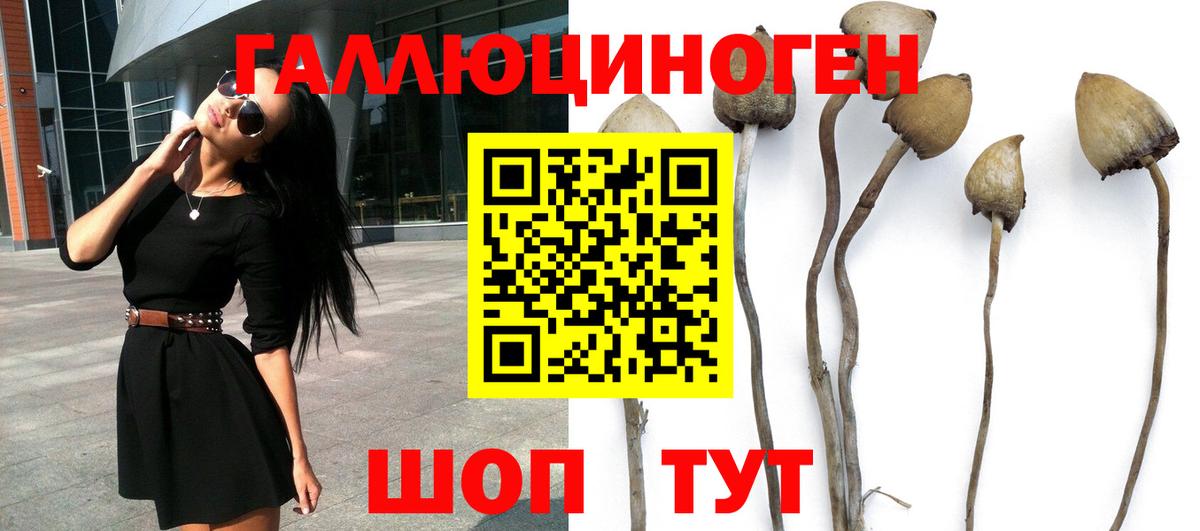 Керчь  Галлюциногенные грибы ЛСД  Псилоцибиновые грибы Psilocybine cubensis  наркотики  Вход с VPN 