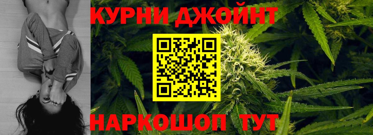 Конопля гибрид Керчь